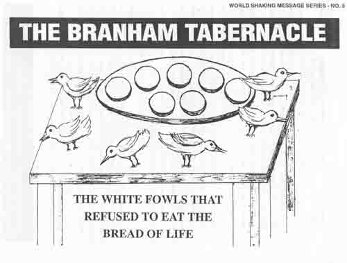 white-fowls